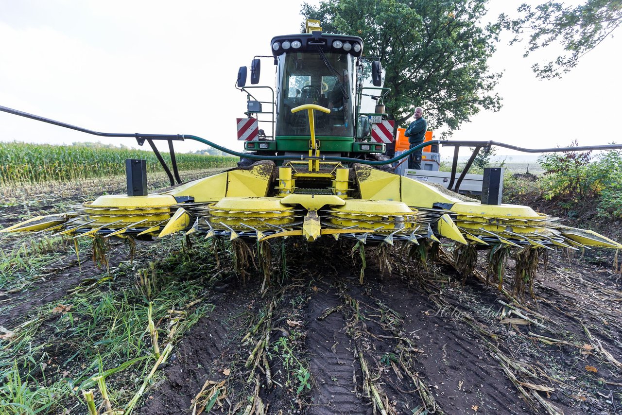 Bild 234 - Maisernte